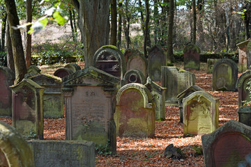 Fototapeta premium jüdischer friedhof bei mehlingen