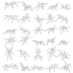 ant crawling sketch set collection
