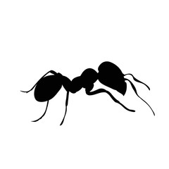 silhouette of an ant crawling, isolated