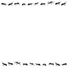 Obraz premium silhouette of ants that crawl on a white background, isolated