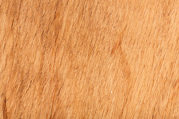 Old natural wooden shabby background close up. Grunge background of old dark brown wooden plank. Wood Texture