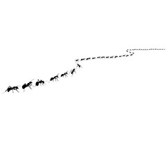 ant colony crawling