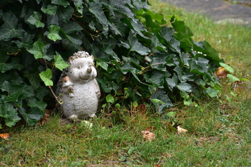 kleiner gast im garten