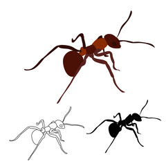 brown ant, insect, sketch and silhouette of ant