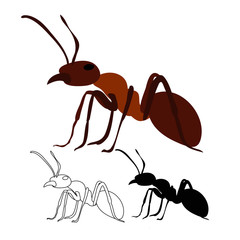 ant, brown, silhouette and sketch