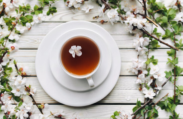 Cup of green tea and spring apricot blossom on a light grey wooden background. Rustic, top view.