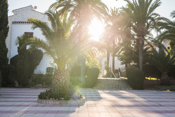 House, building and architecture concept - Street of large suburban homes in summer