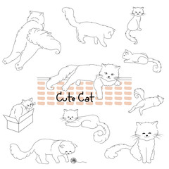Set of hand draw doodle cats in many pose action such as sit , sleep , play and walk