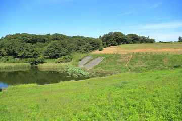 大規模な住宅地にある調整池
