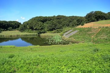 大規模な住宅地にある調整池