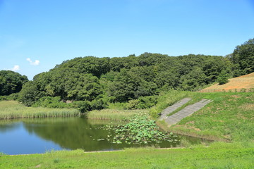 大規模な住宅地にある調整池