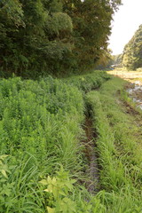 日本の田舎の風景