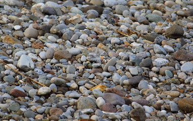 River pebbles background