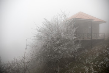 Mysterious house in the forest with fog and a tree. The old spooky house on the land of nowhere.