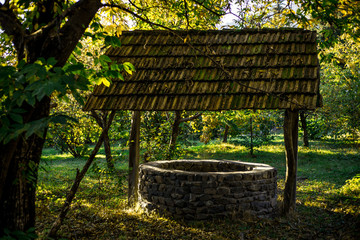 Abandoned well in the forest. Waiting for a terrible girl with a long hair.