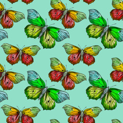 Butterflies moths insects animals fly. Seamless pattern with bytterflies