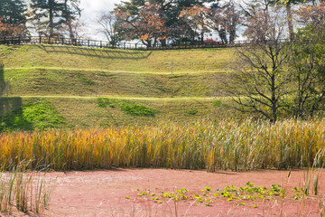 Nature background with view of traditional Japanese park in November near Kanazawa castle, Kanazawa, Japan.