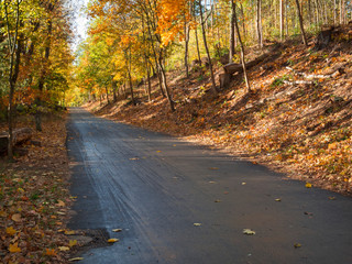Country road Berlin Zehlendorf
