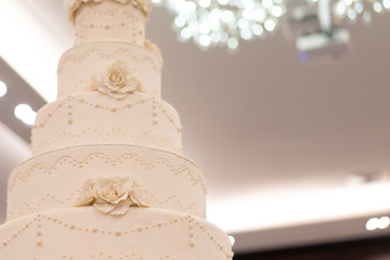 Elegant wedding cake and  .closed up blur background.
