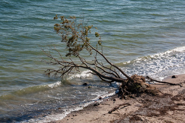 Niendorf