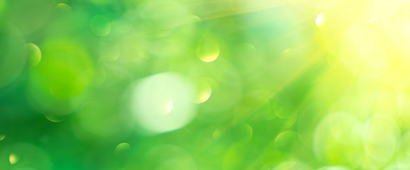 Beautiful nature abstract blurred background. Green bokeh backdrop. Summer or spring background...