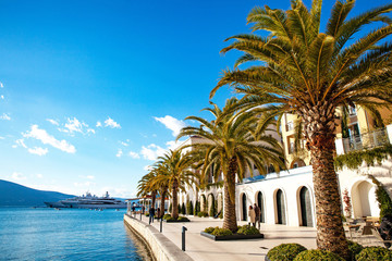 Mediterranean town with palm trees and yachts