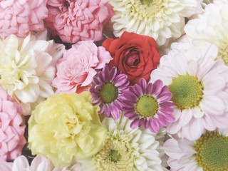 Many flowers with white background