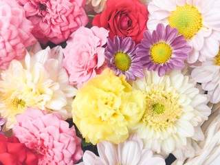Many flowers with white background
