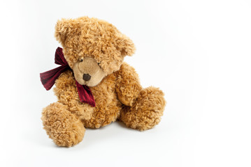 teddy bear isolated on white background