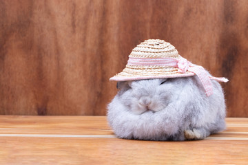 Little rabbit wear water hyacinth hat sleep on wooden background at studio. It's small mammals in...