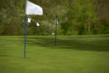 Obraz premium Landscape of a beautiful golf course with greens and holes and bunkers