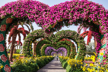 Dubai, UAE: Flower hearts in Miracle Garden  in Dubai