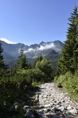 Tatry, Tatrzański Park Narodowy , TPN 