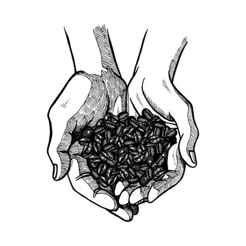 Hand drawn open palms with coffee. Black and white vintage hands. Vector sketch