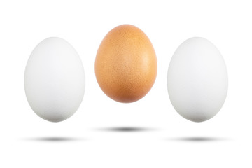 Eggs are white and brown
