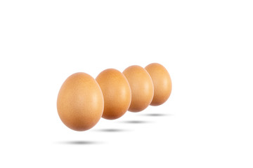 Eggs are white and brown