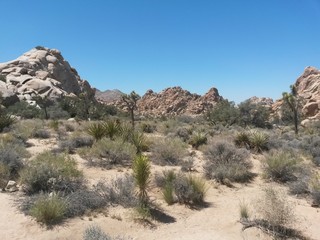 Fototapeta na wymiar kalifornische wüste1