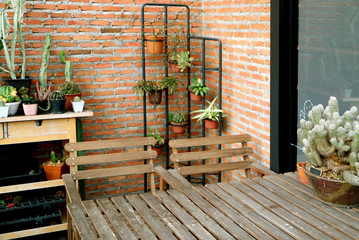 Relaxing space surrounded by the succulent plants at the backyard