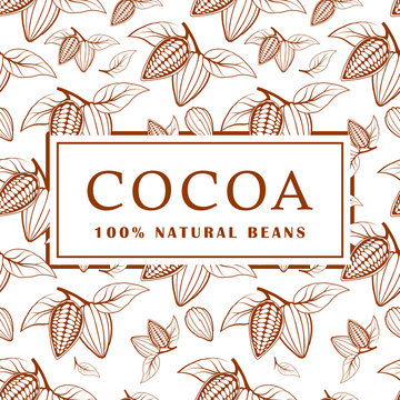 Cocoa beans with leaves on white background. Seamless pattern. Vector illustration.