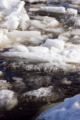 Spring has come, the ice will melt and soon all nature will come to life.