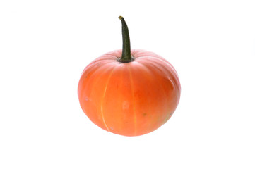 Pumpkin isolated on a white background