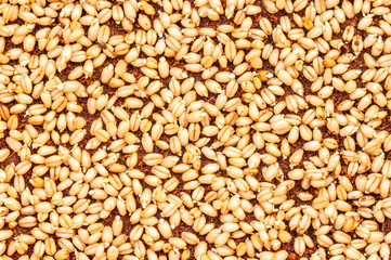 Sprouted wheat.