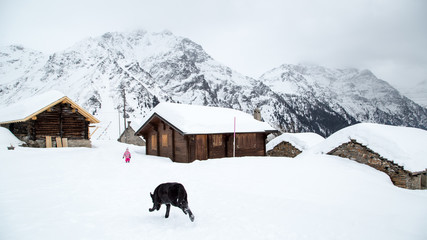 Trekking in winter with my baby and my dog, Switzerland