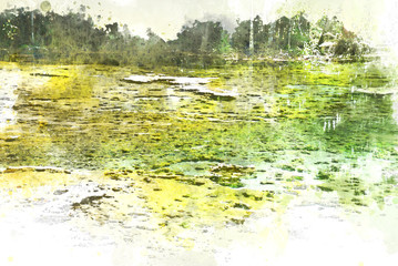 Abstract colorful tree and river lake landscape watercolor illustration painting background.