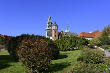 Wawel, wzgórze Wawelskie, Krakow