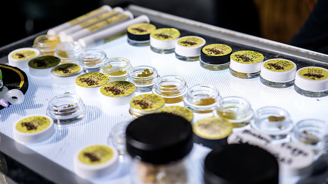 Cannabis Extracts On Display