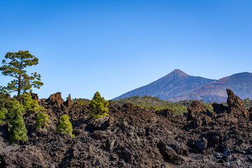 view on the mountain teide on tenerife from rock desert