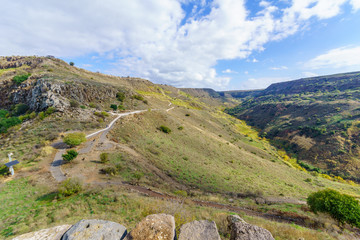 Fototapeta na wymiar Landscape (Daliyot stream) near Gamla