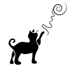 Playing cat silhouette isolated on white background