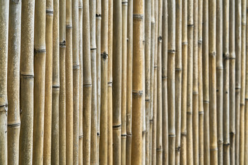 Asian traditional bamboo wall made of vertical trunks